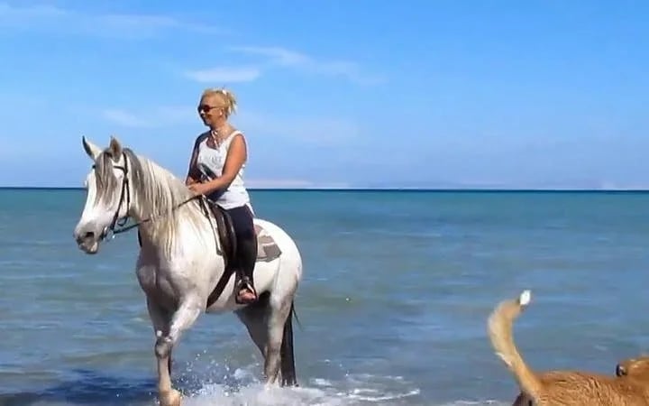 Hurghada Desert and Red Sea Horse Riding Tour with Hotel Transfers Image 5