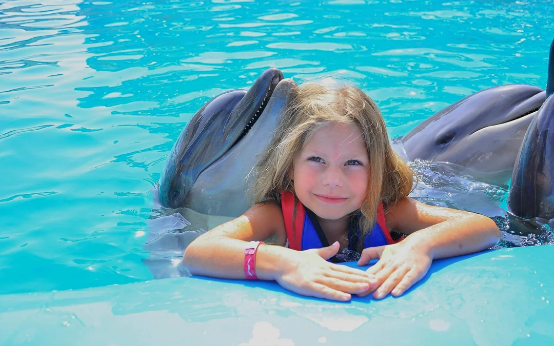 Hurghada Dolphin World Show & Meet-the-Dolphin Photo Experience with Transfers Image 1