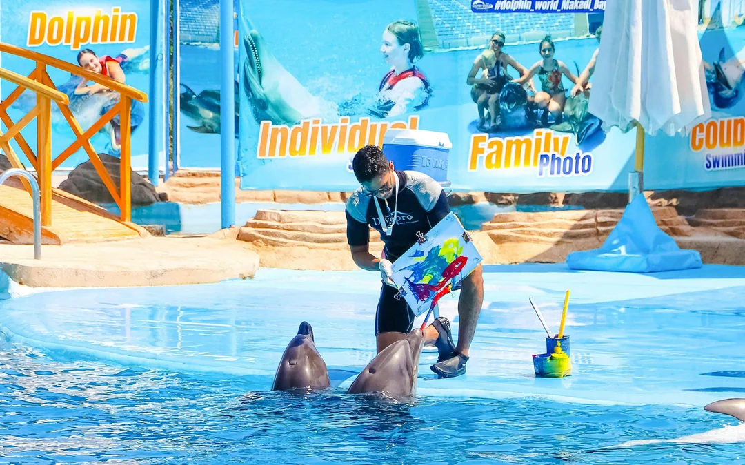 Hurghada Dolphin World Show Tickets with Optional Transfers Image 2