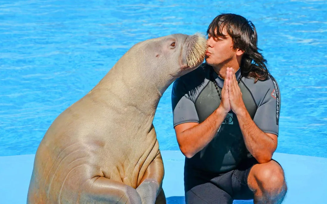 Hurghada Dolphin World Show Tickets with Optional Transfers Image 3
