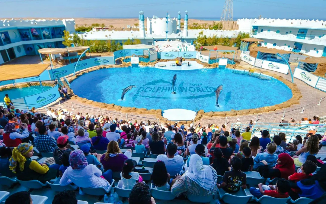 Hurghada Dolphin World Show Tickets with Optional Transfers  Image 4