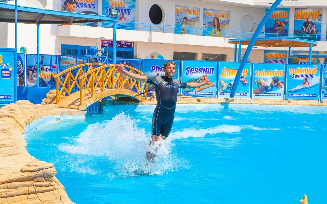 Hurghada Dolphin World Show with Dolphin Swim Session & Transfers Image 3
