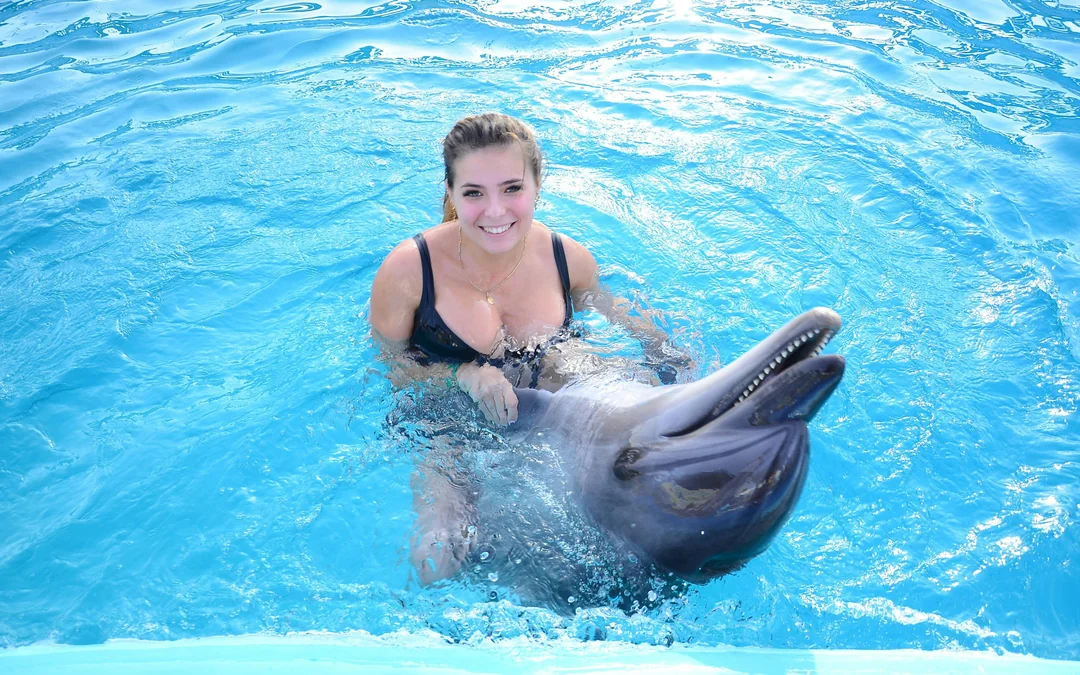 Hurghada Dolphin World Show with Dolphin Swim Session & Transfers Image 4