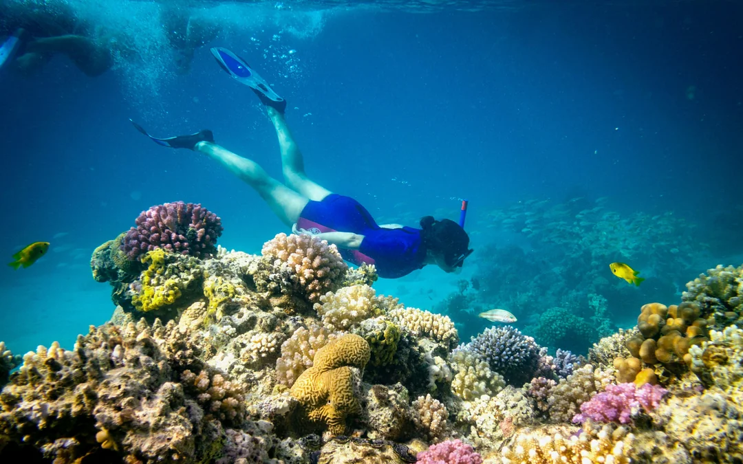 Hurghada: Giftun Island Full Day Snorkeling Tour with Lunch Image 1