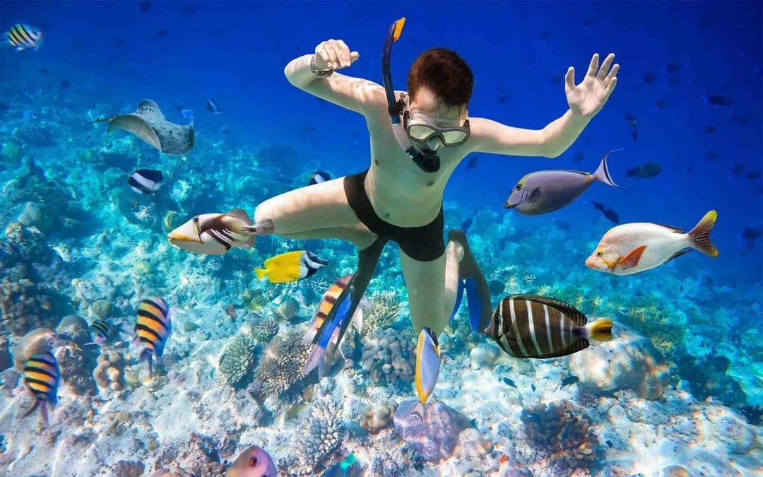 Hurghada: Giftun Island Full Day Snorkeling Tour with Lunch Image 8
