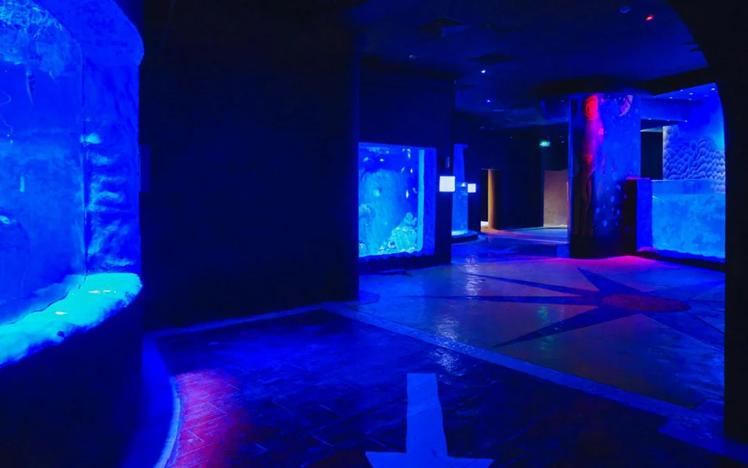 Hurghada Grand Aquarium Entry Tickets Image 3