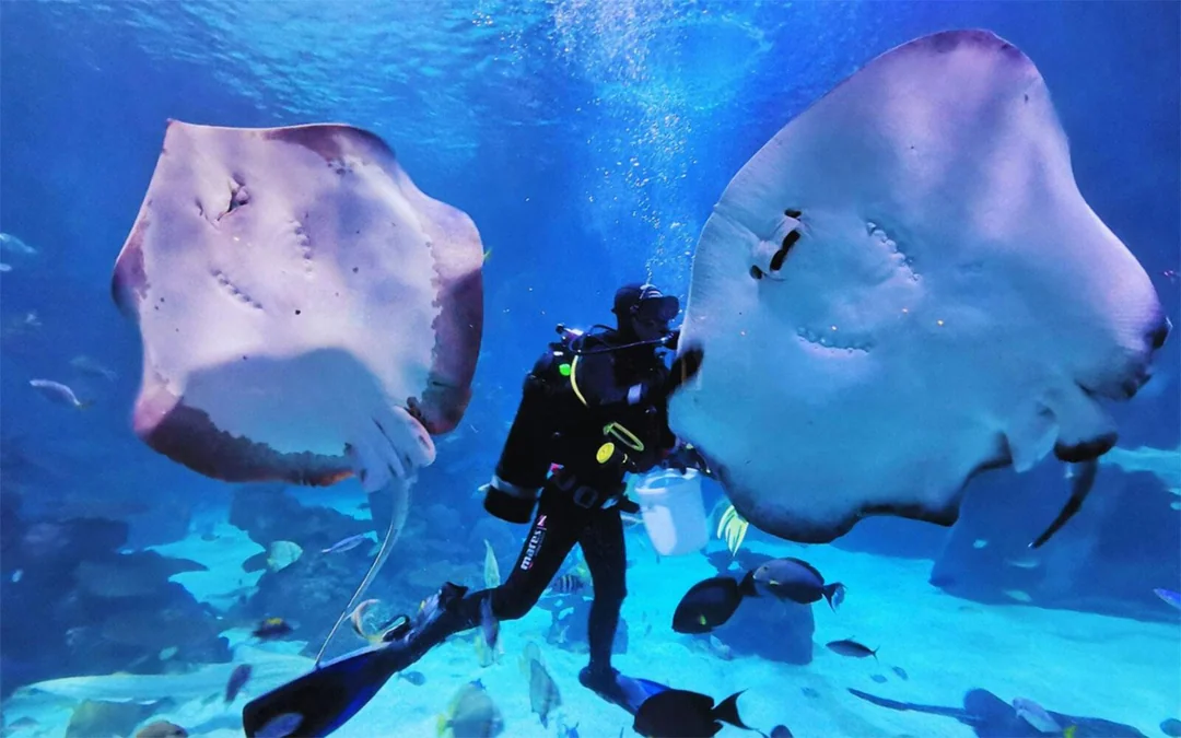 Hurghada Grand Aquarium Entry Tickets Image 4