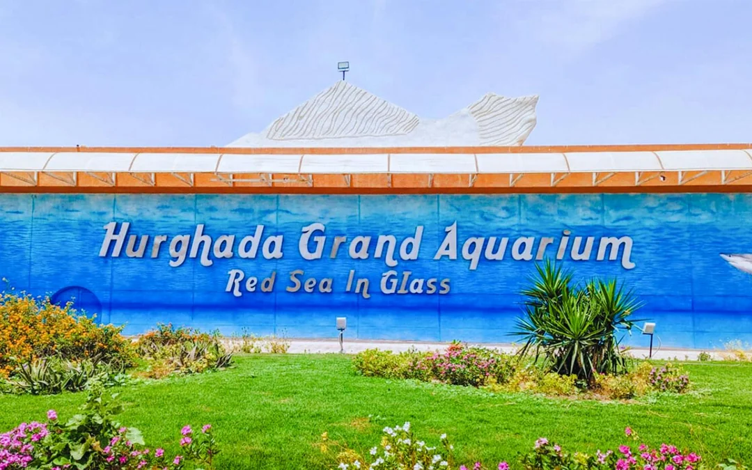 Hurghada Grand Aquarium Entry Tickets Image 9