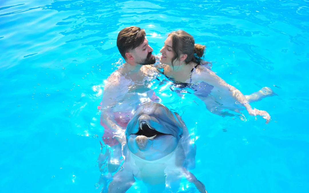 Hurghada Ultimate Dolphin Experience with Dolphin Show, Swimming Experience & Photo Session with Transfers Image 3