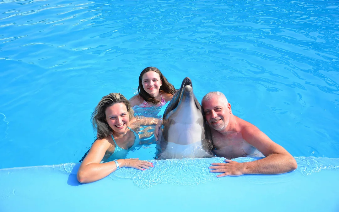 Hurghada Ultimate Dolphin Experience with Dolphin Show, Swimming Experience & Photo Session with Transfers Image 5