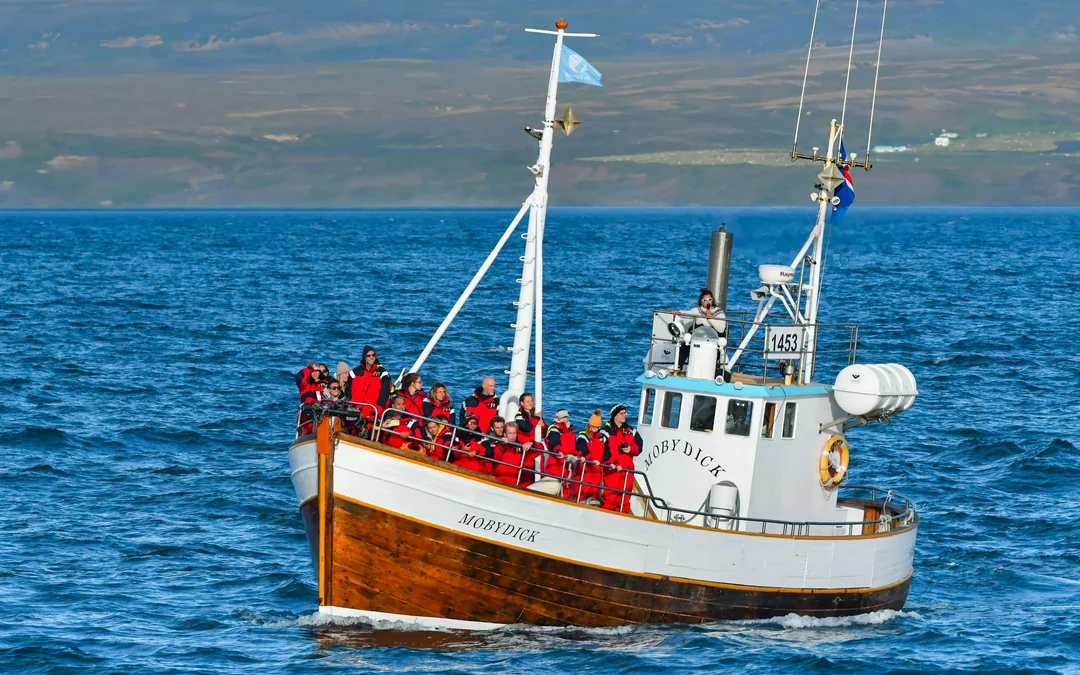 Husavik: Small-Family Run, Locally Owned, Sustainable Whale Watching Image 2