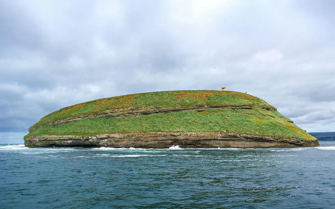 Husavik: Whale Watching & Puffin Boat Tour Image 6