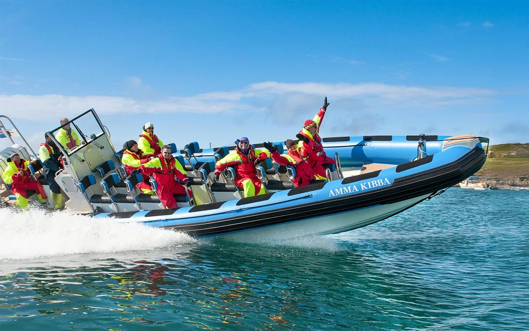 Husavik: Whale Watching & Puffin Tour on RIB Speedboat Image 3
