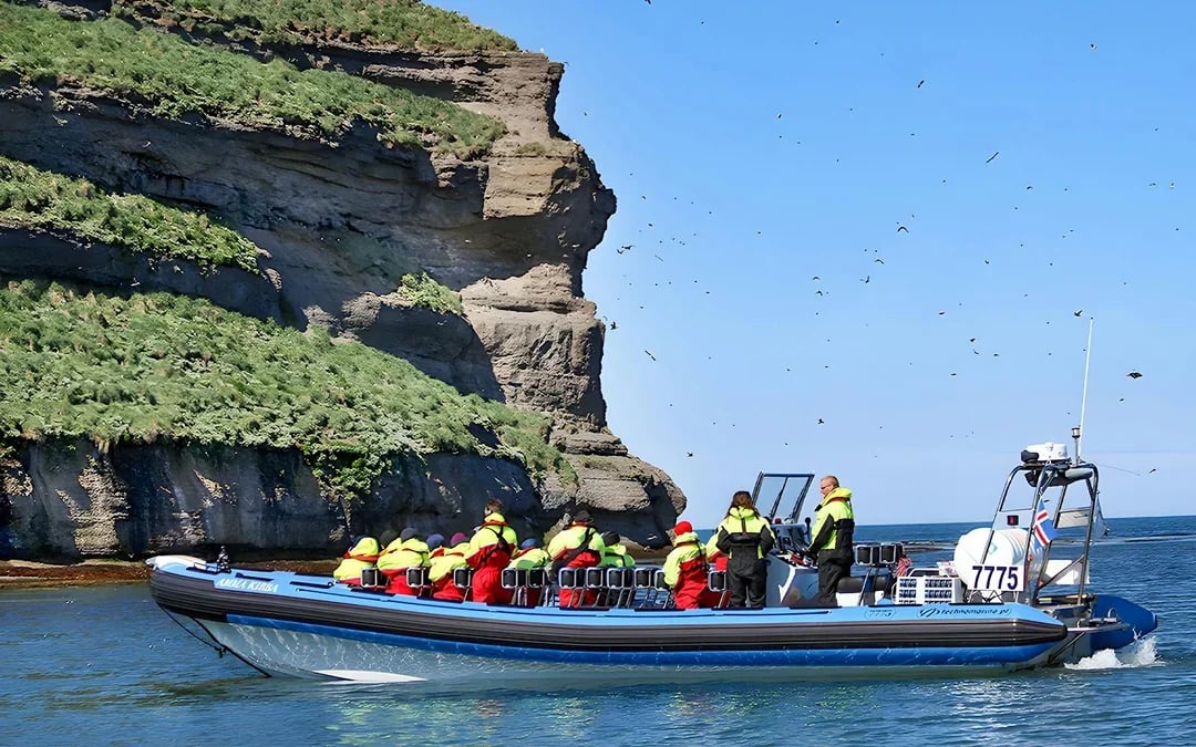 Husavik: Whale Watching & Puffin Tour on RIB Speedboat Image 8