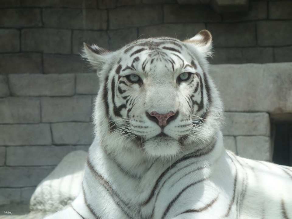 Hybrid Leisure Land Tobu Zoological Park Admission Ticket Reservation (Saitama Zoo)
