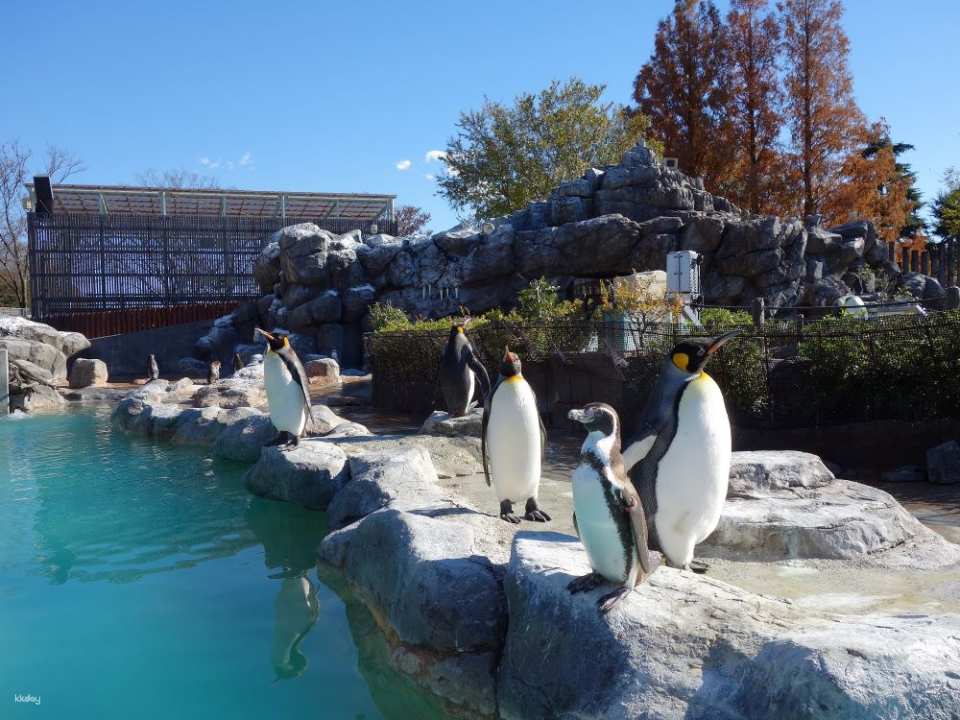 Hybrid Leisure Land Tobu Zoological Park Admission Ticket Reservation (Saitama Zoo)