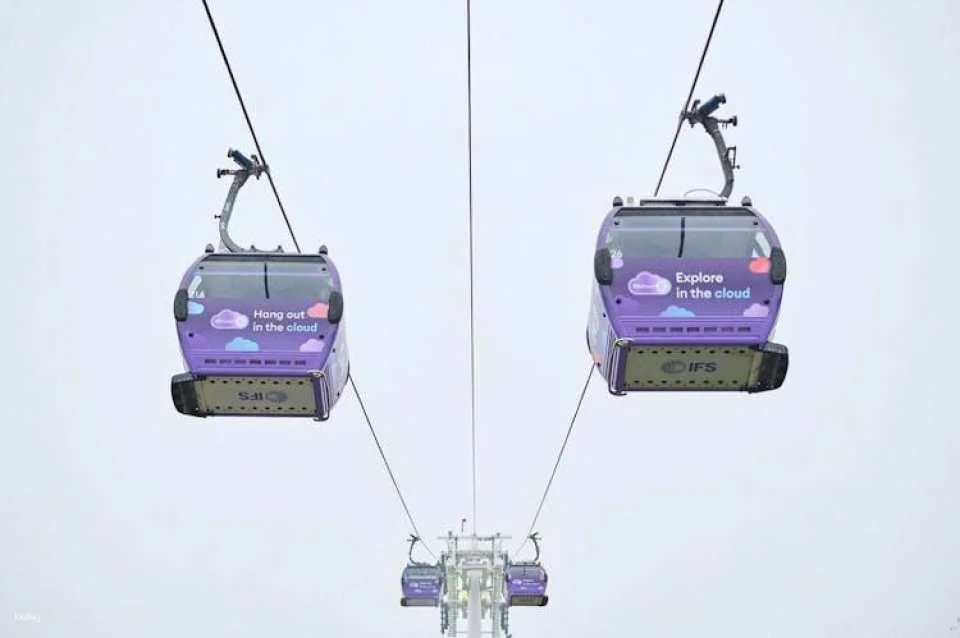 IFS Cloud Cable Car ride and Uber Boat by Thames Clippers one-way ticket