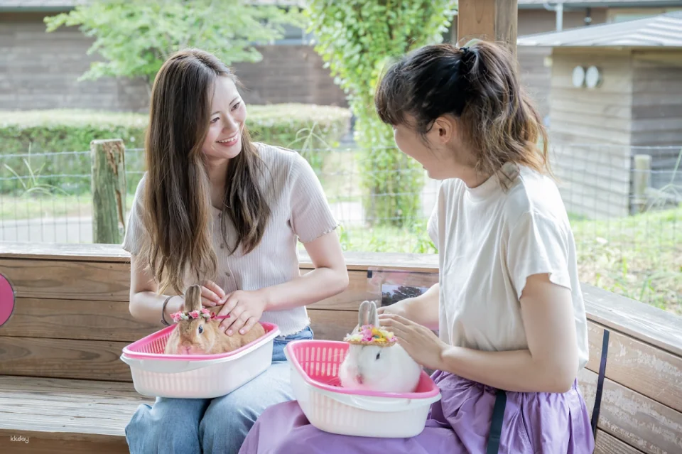 Ikaho Green Bokujo Admission Ticket | Gunma