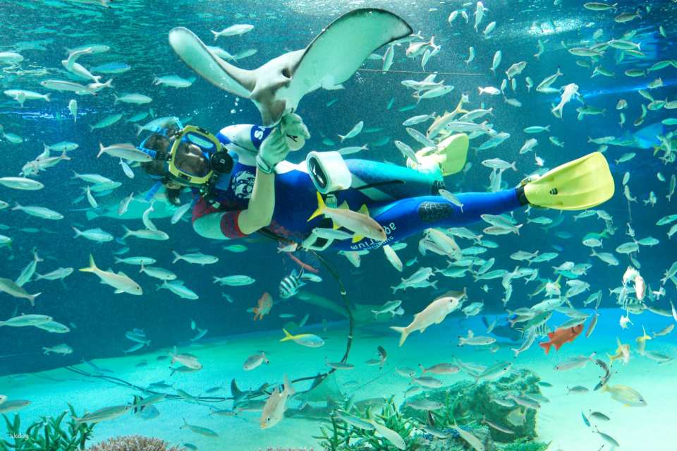 Ikebukuro Sunshine Aquarium Tickets・Sunshine 60 Observatory Park