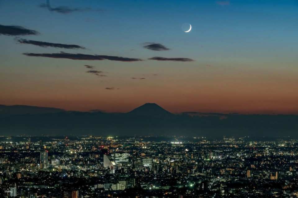 Ikebukuro Sunshine Aquarium Tickets・Sunshine 60 Observatory Park