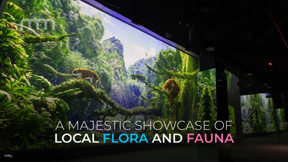 Immersify KL: Digital Media Art Gallery in Kuala Lumpur