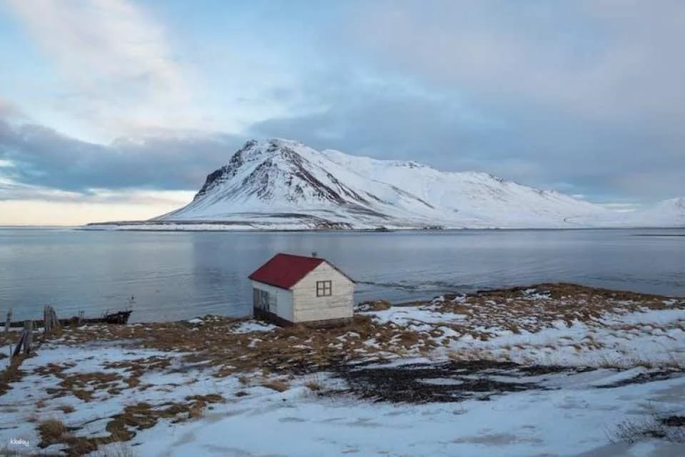 In-App Self-Guided Walking Tour to Discover Reykjavik