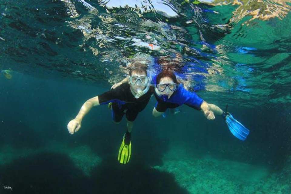 Individual snorkeling excursion by speedboat in Mallorca