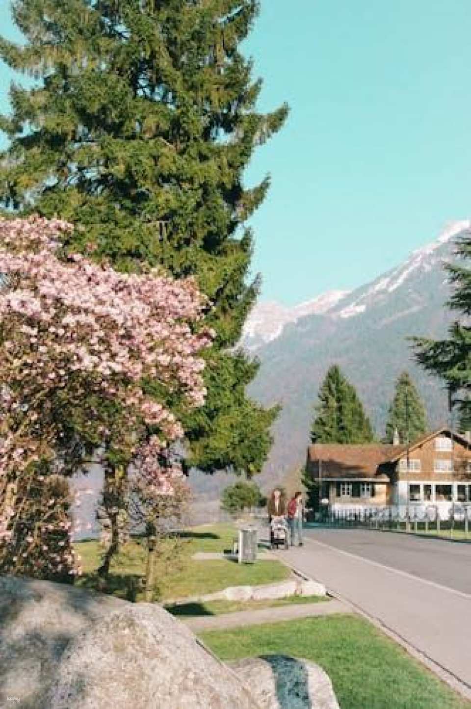 Interlaken art and culture tour with a local
