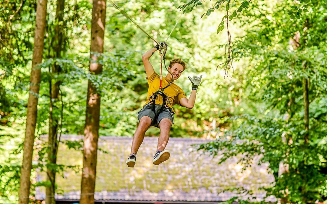 Interlaken: High Ropes Park Ticket Image 2