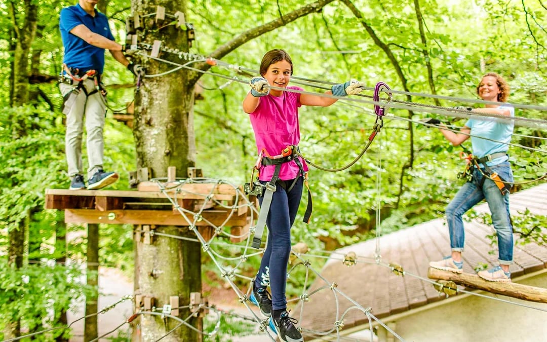 Interlaken: High Ropes Park Ticket Image 4