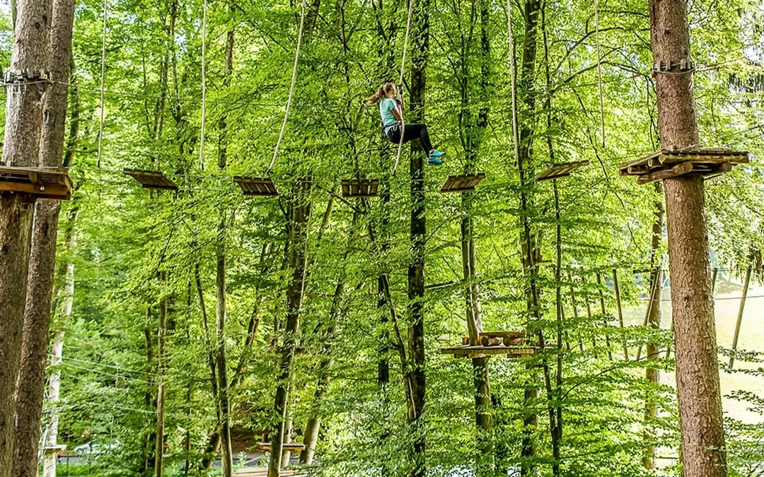 Interlaken: High Ropes Park Ticket Image 6
