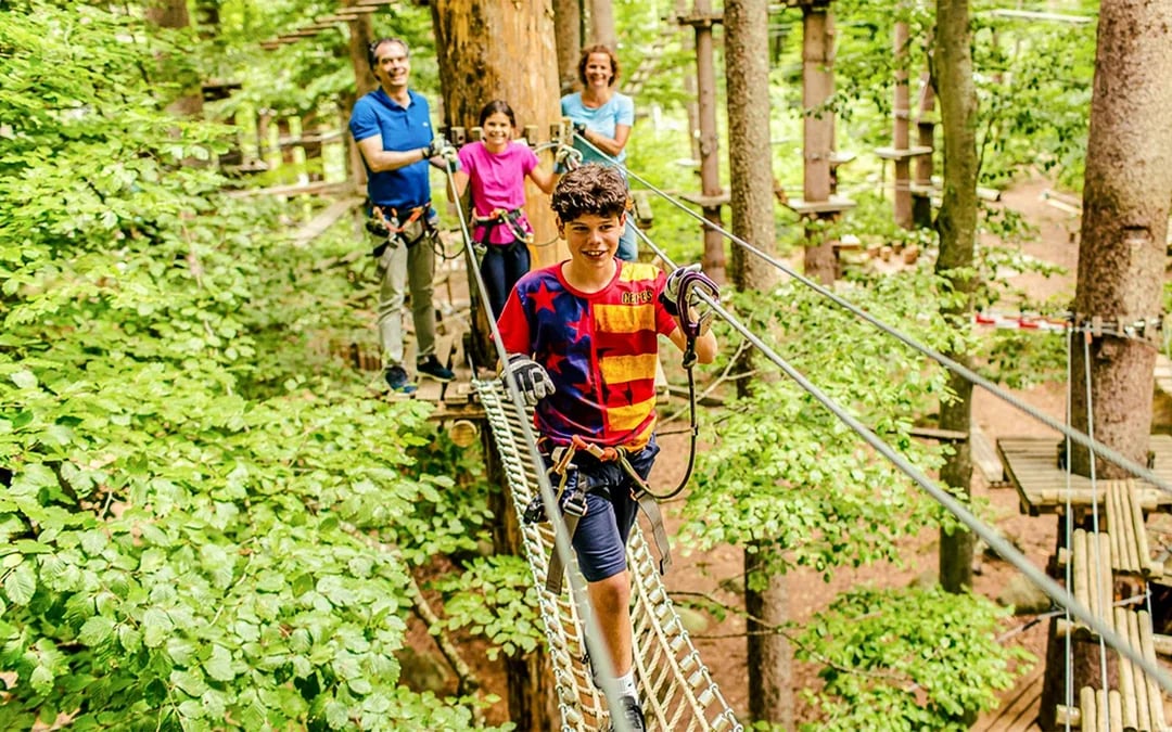 Interlaken: High Ropes Park Ticket Image 7