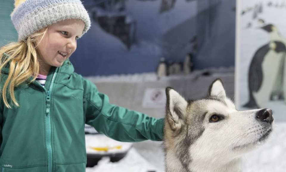 International Antarctic Centre Ticket | New Zealand