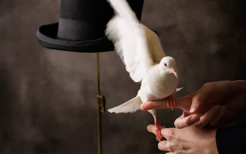 Intimate Magic Show & Signature Cocktails in Tokyo Image 10