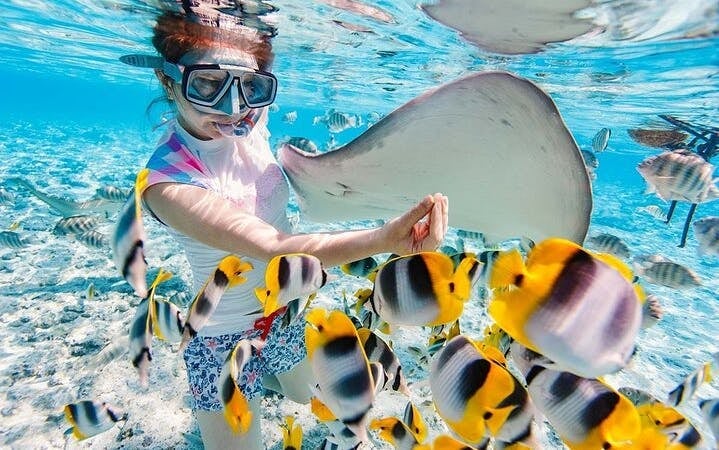 Intro Scuba Diving 2 Stops Trip with Transfers & Lunch - Hurghada Image 3