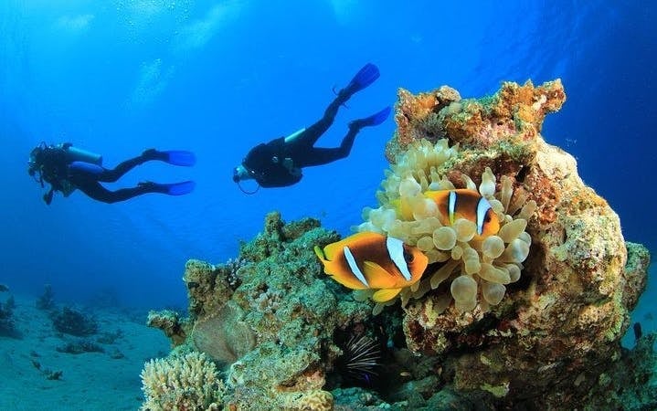 Intro Scuba Diving 2 Stops Trip with Transfers & Lunch - Hurghada Image 4