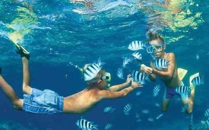 Intro Scuba Diving 2 Stops Trip with Transfers & Lunch - Hurghada Image 5