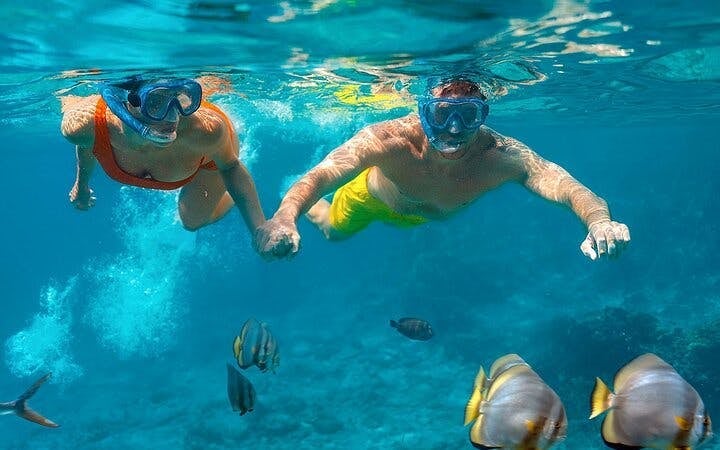 Intro Scuba Diving 2 Stops Trip with Transfers & Lunch - Hurghada Image 7