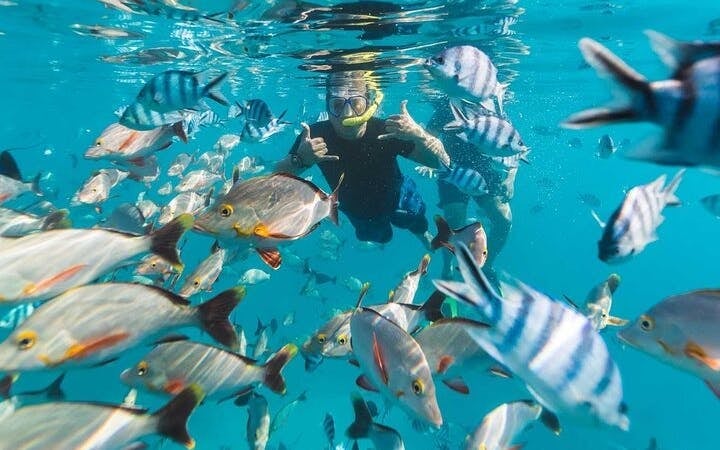 Intro Scuba Diving 2 Stops Trip with Transfers & Lunch - Hurghada Image 9