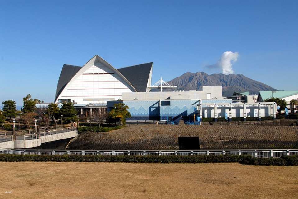 Io World Kagoshima City Aquarium Entrance Ticket | Japan