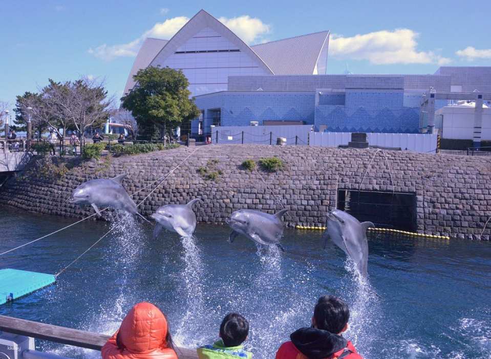 Io World Kagoshima City Aquarium Entrance Ticket | Japan