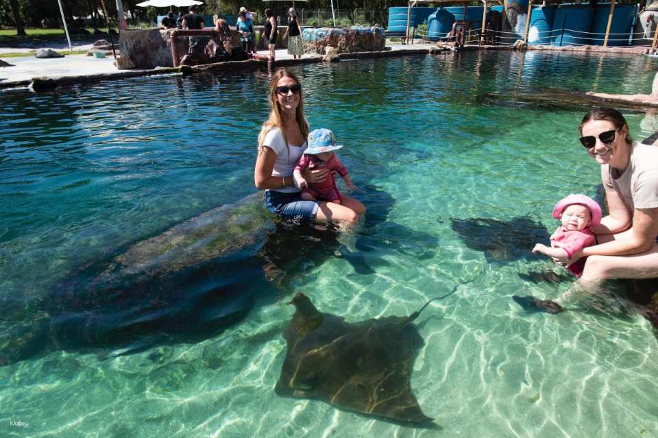 Irukandji Shark & Ray Encounters & Shallows Encounter Admission Ticket | New South Wales