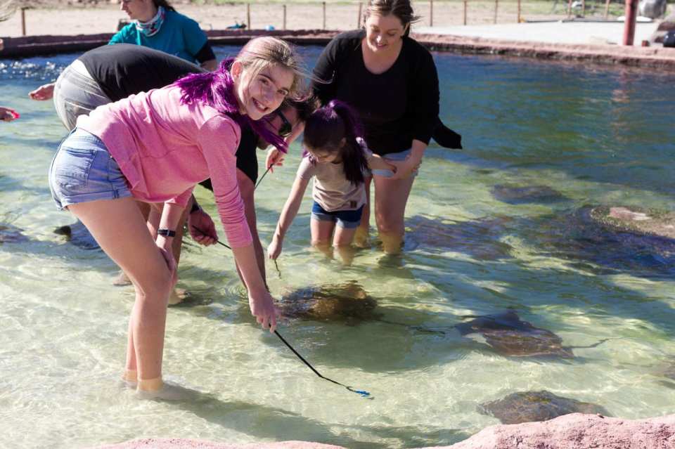 Irukandji Shark & Ray Encounters & Shallows Encounter Admission Ticket | New South Wales