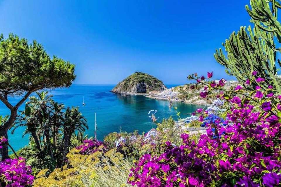 Ischia and Procida boat tour from Sorrento