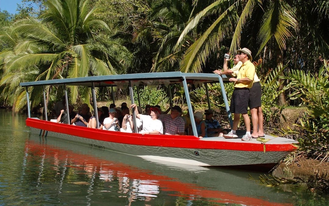 Isla Damas Mangrove Estuary Boat Tour with Lunch and Hotel Transfers from Manuel Antonio Image 2
