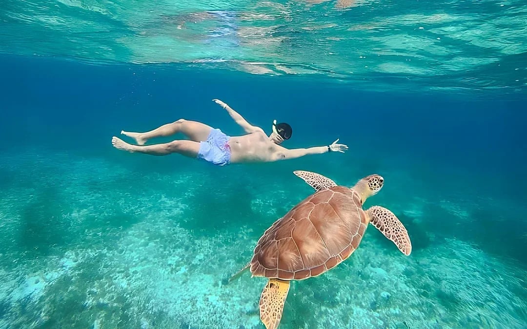 Isla Mujeres Catamaran Tour with Open Bar, Snorkelling and Buffet Image 8