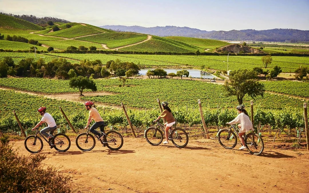 Isla Negra, Algarrobo & Casablanca Wine Valley Day Tour Image 2