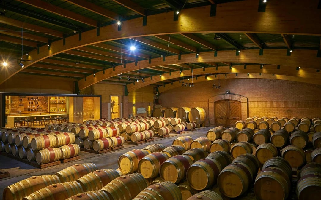 Isla Negra, Algarrobo & Casablanca Wine Valley Day Tour Image 4