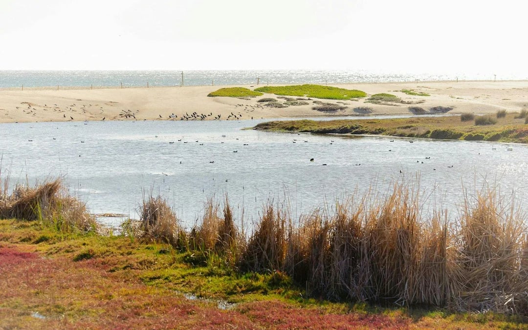 Isla Negra, Algarrobo & Casablanca Wine Valley Day Tour Image 8
