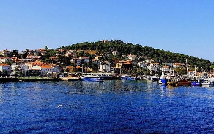 Istanbul All-Inclusive Princes’ Islands Tour+Lunch & Hotel Pickup Image 1